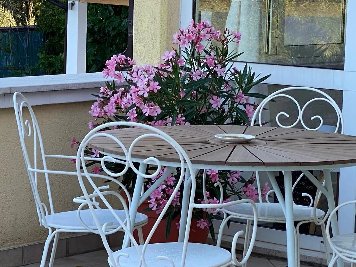 Villa Yucca Istra Labin