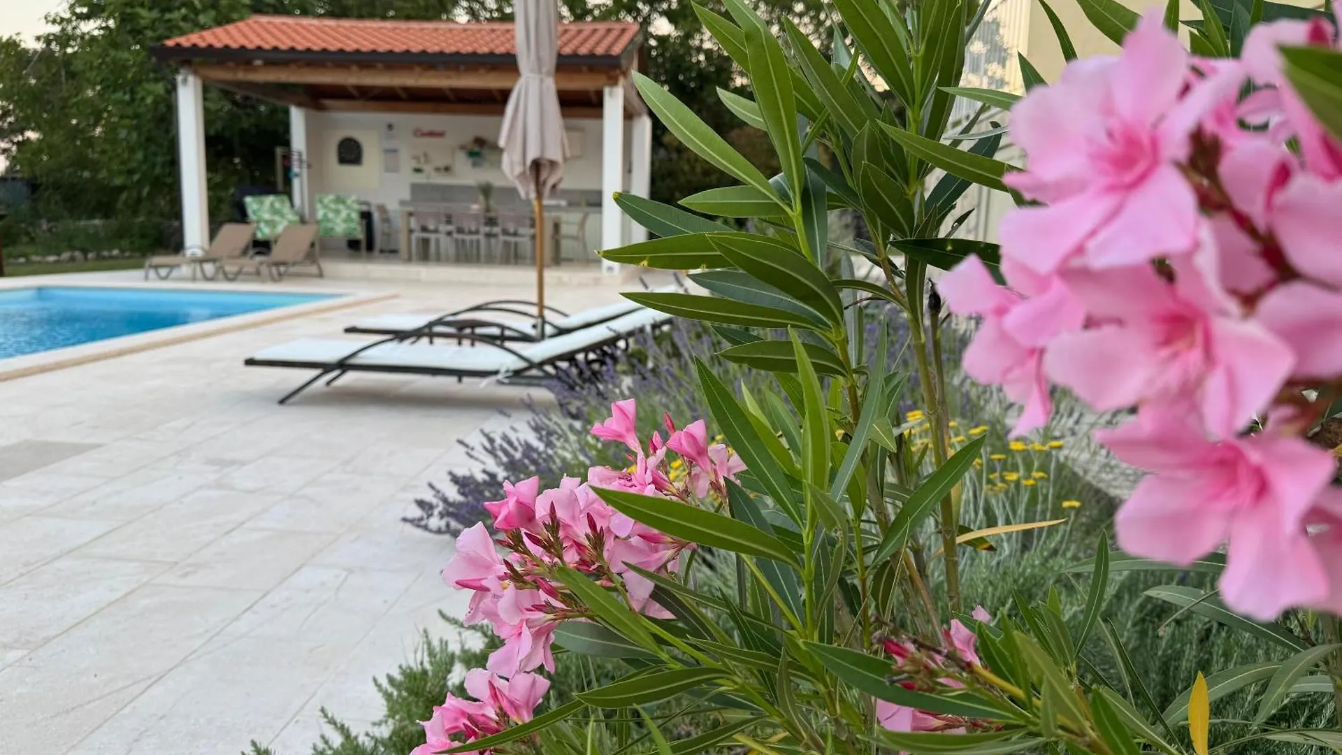 Villa Yucca Istra Labin   Labin (Istria)